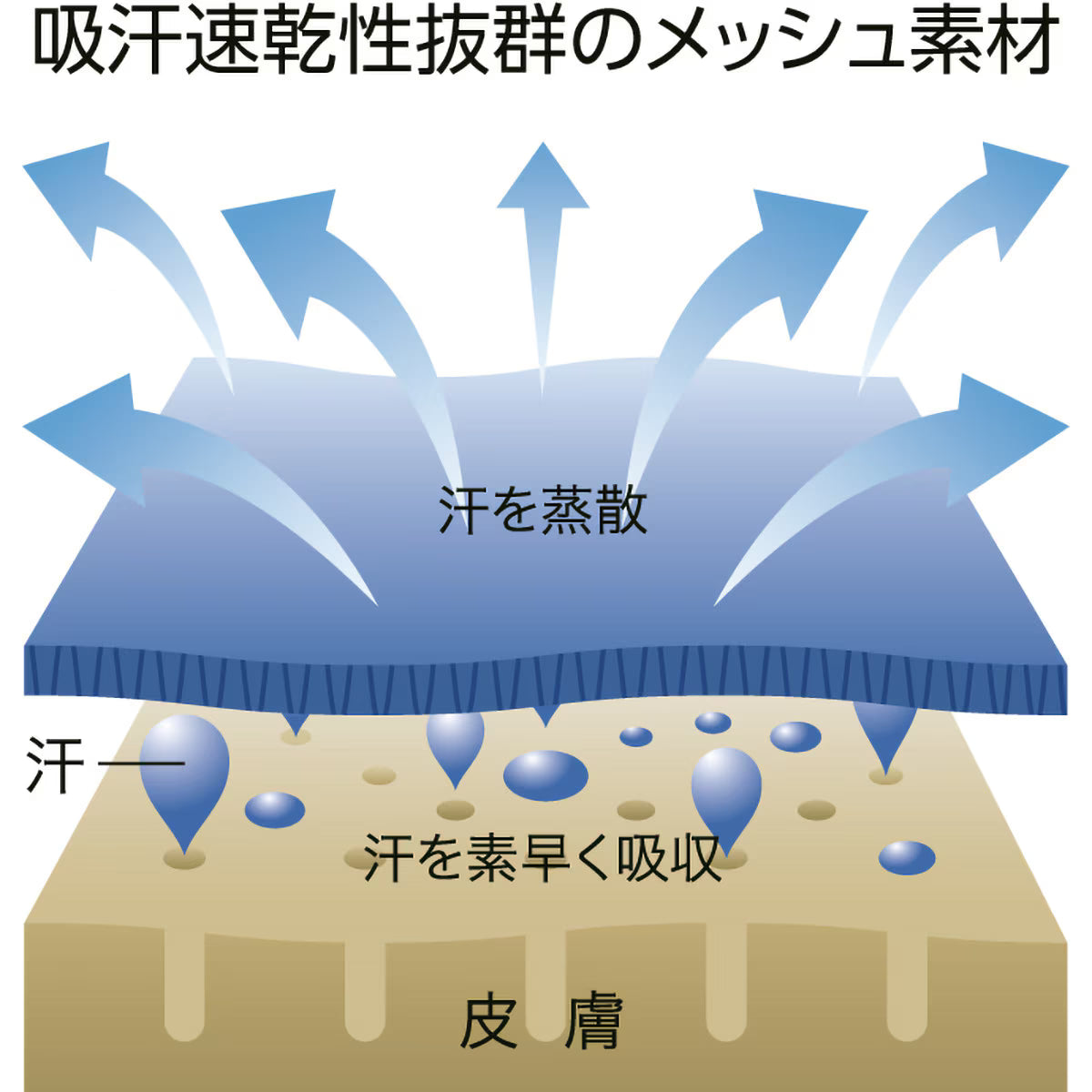 ドライTシャツ